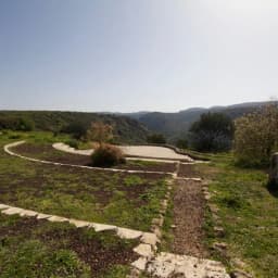 תמונה 4
