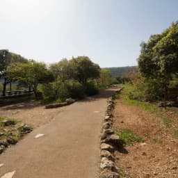 תמונה 2