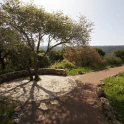 תמונה 6